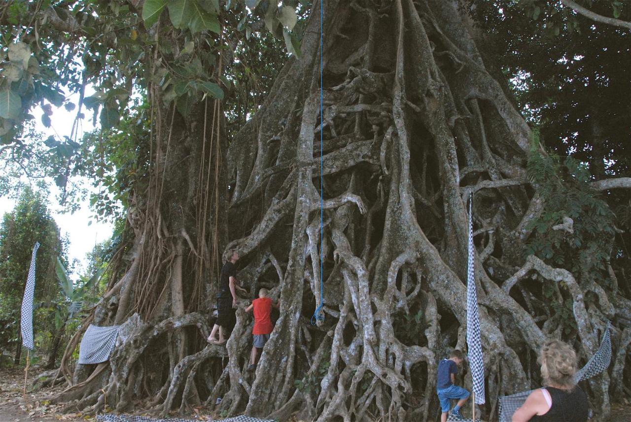 Rumah Kita Lovina Cameră foto
